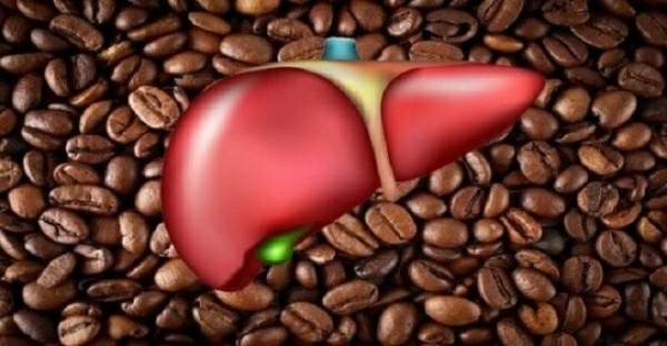 რა გავლენას ახდენს ორგანოებზე დღეში 3 ჭიქა ყავა?