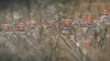 სამგორიდან ლილომდე მიწისზედა მეტროს რვა სადგური გაიხსნება (ვიდეო)