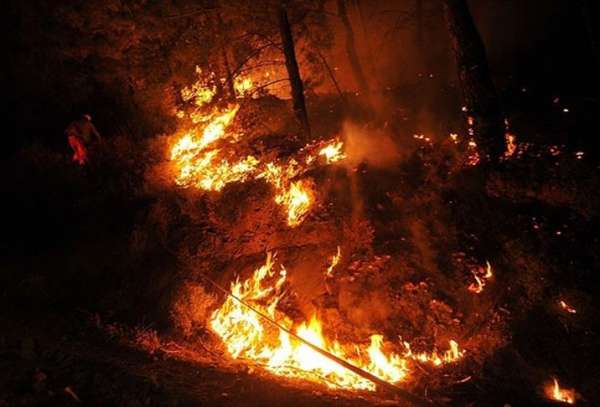 ჩერნობილის ტყეში ხანძრის ჩაქრობა ამ დრომდე ვერ ხერხდება
