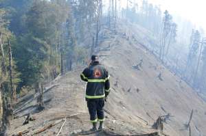 "ბორჯომის ხეობაში ხანძრის ქრობის პროცესი დასკვნით ეტაპზე გადავიდა" - შსს