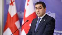 ,,პეტერ ფიშერი ქართველი ხალხის წარმოდგენაში დარჩება გერმანიის იმ ელჩად, რომელიც ფაშისტური სლოგანის ფონზე პოზირებდა"- შალვა პაპუაშვილი