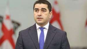 "ქართველი მადურო ჩვენ გვიზის რუსთავის მე-12 ციხეში" - შალვა პაპუაშვილი