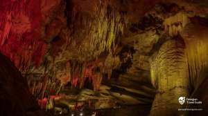 1 აპრილიდან დაცული ტერიტორიების სააგენტო ვიზიტორებს კომბინირებული (&bdquo;კომბო&ldquo;) ბილეთების სისტემას შესთავაზებს