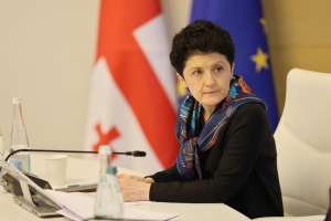 “საგამოძიებო კომისიამ დაადგინა, რომ პატიმართა მიმართ წამებისა და არაადამიანური მოპყრობის სხვადასხვა, სასტიკი მეთოდების გამოყენებას ჰქონდა თითქმის ყოველდღიური ხასიათი” - თეა წულუკიანი