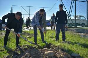 ოქტომბრის ბოლოს &quot;ხის დარგვის საერთაშორისო დღე&quot; აღინიშნება