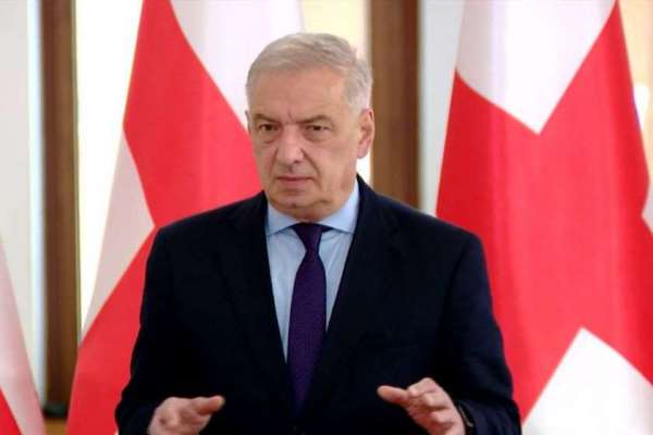 “ევროპარლამენტი გადაიქცა ბალტიისპირელების ლობისტური ჯგუფის სათარეშო სივრცედ” - გია ვოლსკი