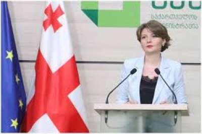 "რეგისტრატორები, რომლებმაც არასწორად მოხიეს ბიულეტენები, ჩანაცვლდნენ" - ანა მიქელაძე