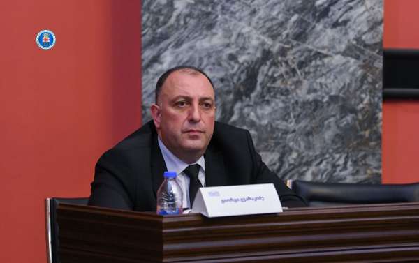 “დანაშაულში მონაწილე არასრუწლოვნებისთვის რესოციალიზაციის შანსის მიცემა და მსხვერპლთათვის ვიქტიმიზაციის სიმძიმის შემსუბუქება სწორ პრიორიტეტად მესახება” - გიორგი გვარაკიძე
