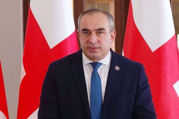 “ჩვენთვის არ აქვს მნიშვნელობა, მიიღებს თუ არა ოპოზიცია არჩევნებში მონაწილეობას, თუმცა, ამ გადაწყვეტილებამ კიდევ ერთხელ დაადასტურა, რომ ოპოზიცია ფინანსდება და იმართება ქვეყნის გარედან” - ვლადიმერ ბოჟაძე ევროპარლამენტის მოწოდებაზე