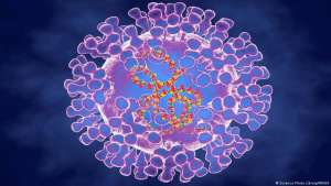 დიდ ბრიტანეთში &ldquo;მაიმუნის ყვავილი&rdquo; ვრცელდება და ყოველდღიურად, ახალი შემთხვევები ვლინდება