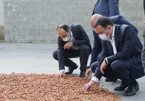 &quot;მთავრობა სოფლის მეურნეობის დარგისა და  ახალი საწარმოების მხარდაჭერას მომავალშიც განაგრძობს&quot;