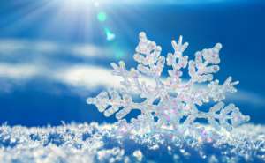 როგორი ამინდია მოსალოდნელი საქართველოში