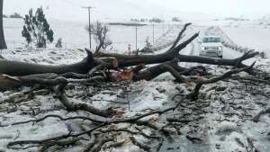 სამხრეთ აფრიკაში დიდთოვლობას 50-მდე ადამიანი ემსხვერპლა