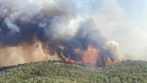 საფრანგეთში ბოლო ათწლეულების ყველაზე მასშტაბური ხანძარი მძვინვარებს