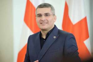 ,,მთავარი გამოწვევაა, რომ ქვეყანა აგენტურას არ  გავანადგურებინოთ"- მამუკა მდინარაძე