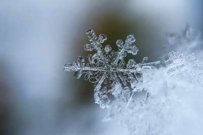 როგორი ამინდია მოსალოდნელი საქართველოში