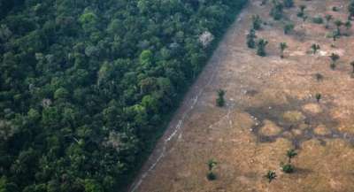 ამაზონის ტროპიკული ტყეები უმოწყალოდ იჩეხება - მეცნიერები კორონავირუსის ახალი კერის შესახებ გვაფრთხილებენ