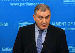 ,,საუბარია რამდენიმე მიმდინარე პროექტის შეჩერებაზე, რომლის შინაარსი კვლევითი საქმიანობა და ტრენინგებია"- მიხეილ სარჯველაძე