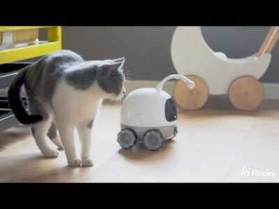 შინაური ცხოველების მოვლისთვის რობოტი შეიქმნა - ვიდეო