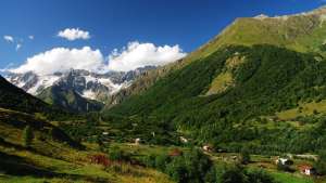 ამბროლაურის სოფელ კვაცხუთში ცოფის შემთხვევა დაფიქსირდა, რის გამოც საკარანტინე ზომები დაწესდა