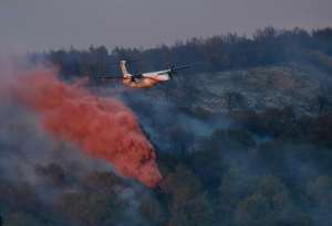 საფრანგეთში მაღალი ტემპერატურით გამოწვეულ, ტყის ხანძარს ებრძვიან