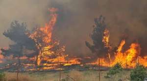 რამდენიმე ქვეყანაში ხანძარს ებრძვიან – არის მსხვერპლი