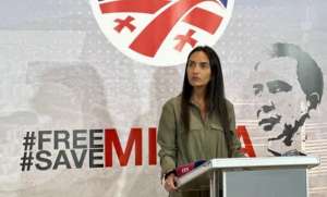 "ხვალიდან მიხეილ სააკაშვილის სახელით ვიწყებ ძალიან დიდ კამპანიას"- სოფო ჯაფარიძე