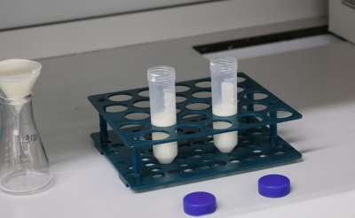 იმერეთში რძის გადამამუშავებელი არალეგალური საწარმოები გამოვლინდა