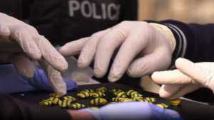 იმერეთში ნარკოდანაშაულის ბრალდებით უცხო ქვეყნის ორი მოქალაქე დააკავეს