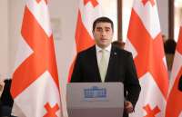 “ერთობლივი კონსტიტუციური სარჩელით მივმართავთ საკონსტიტუციო სასამართლოს კონკრეტული პოლიტიკური პარტიების არაკონსტიტუციურად ცნობისა და მათი აკრძალვის მოთხოვნით” – პაპუაშვილი