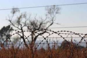 სოფელ მუჟავადან სამი ადამიანი გაიტაცეს