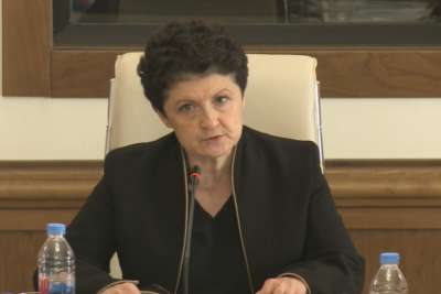 “როგორც ჩანს, გერმანიის ელჩი მოცლილია, მინდა, კომისიაზე დასწრება შევთავაზო” - წულუკიანი