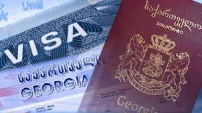 პარლამენტმა ახალი - C5 კატეგორიის ორდინალური ვიზის დაწესებას მხარი დაუჭირა