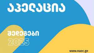 ერთიანი ეროვნული გამოცდები 2025-ის საპრეტენზიო განაცხადების მიღება დაიწყო