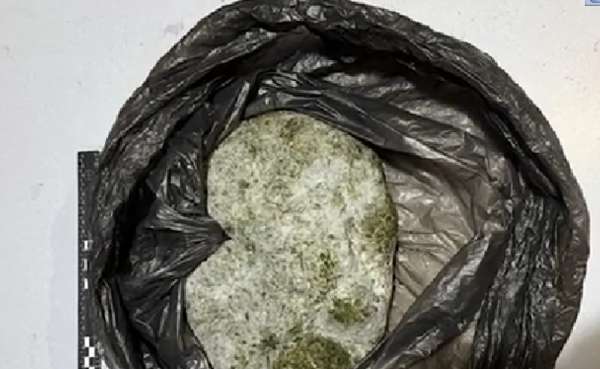 ,,ამოღებულია განსაკუთრებით დიდი ოდენობით ნარკოტიკული საშუალება &bdquo;ტეტრაჰიდროკანაბინოლი&ldquo; და ,,გამომშრალი მარიხუანა&rdquo; &ndash; შსს-მ 2 პირი დააკავა