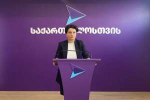 "ხელისუფლება 12 პუნქტის შესრულების ილუზიას ქმნის" - ნათია მეზვრიშვილი