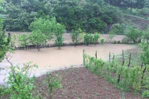 ძლიერმა წვიმამ ხარაგაულის მუნიციპალიტეტში პრობლემები შექმნა