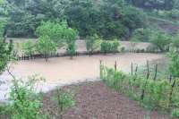 ძლიერმა წვიმამ ხარაგაულის მუნიციპალიტეტში პრობლემები შექმნა