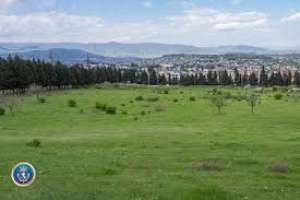 სახელმწიფოს კუთვნილი მიწის მითვისებისთვის ერთი პირი დააკავეს