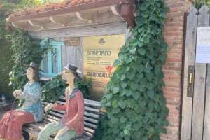 რა მოხდა გარდენიაში - ზურაბ შევარდნაძე პოსტს აქვეყნებს