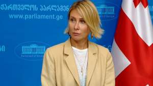 “ბრიუსელის ბიუროკრატების მხრიდან ზეწოლის ბევრი იარაღი იქნა გამოყენებული ქართველ ხალხზე” – ნინო წილოსანი