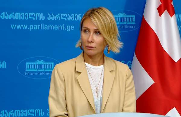 “თუ კანონი არ იცავს საჯარო მოხელეს, რომ თავისი საქმიანობა განახორციელოს მისი უფლებამოსილების ფარგლებში, ასეთ შემთხვევაში ვერ იქნება დემოკრატიის ელემენტარული პრინციპი მიღწეული” - ნინო წილოსანი
