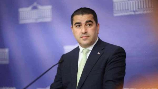 “პარტიულ საქმიანობაში ჩართული არ არის” - შალვა პაპუაშვილი გომელაურზე