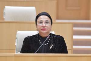 " გუნდი ერთიანია, მთლიანი და ვეტო დაძლეული იქნება - თუ ქვეყანას სჭირდება ჩემი დასანქცირება, მზად ვარ, დამასანქცირონ" - რიმა ბერაძე