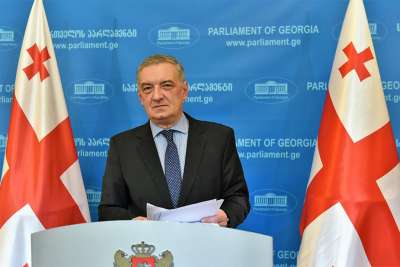 "ძალიან ვწუხვარ, იმდენად არ მომწონს ადამიანის დაკავება, მაგრამ ამ საკითხის მიმართ ჩემი პერსონალური დამოკიდებულება მას ვერ გადაწყვეტს"