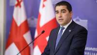 ,,ჯო უილსონს აკვიატება აქვს და ეს აკვიატება ვინმეს თუ გადაედება, ცუდი იქნება &ndash; მისი ერთადერთი მიზანია საინფორმაციო ხმაურის შექმნა&rdquo;- შალვა პაპუაშვილი