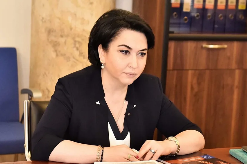 “პოლიტიკური პარტიების აკრძალვასთან დაკავშირებული მოთხოვნა უპრეცედენტოა” – ეკა ბესელია