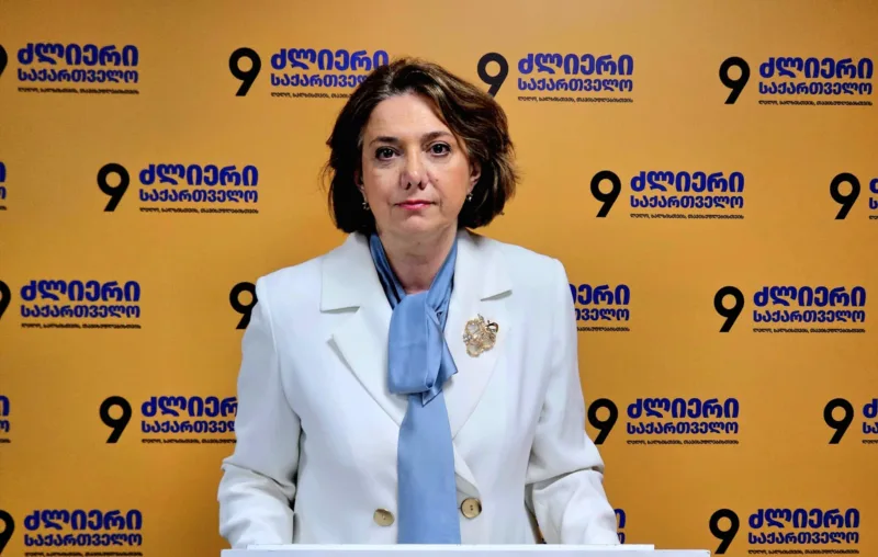 ,,თუ საკონსტიტუციო სასამართლომ არ უხმო ჭკუას, სტრასბურგი გასცემს პასუხს”- სალომე სამადაშვილი